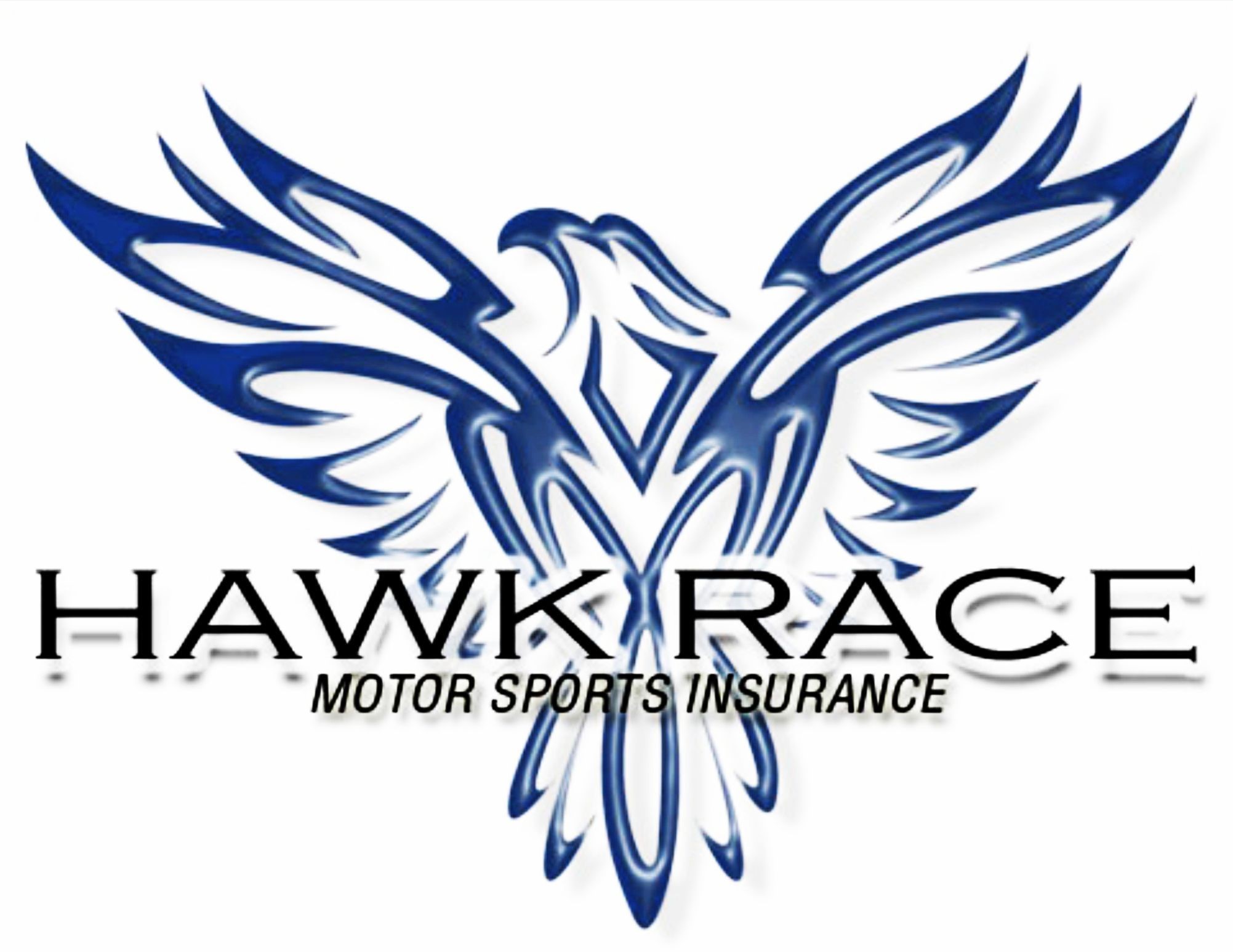 Hawk Race